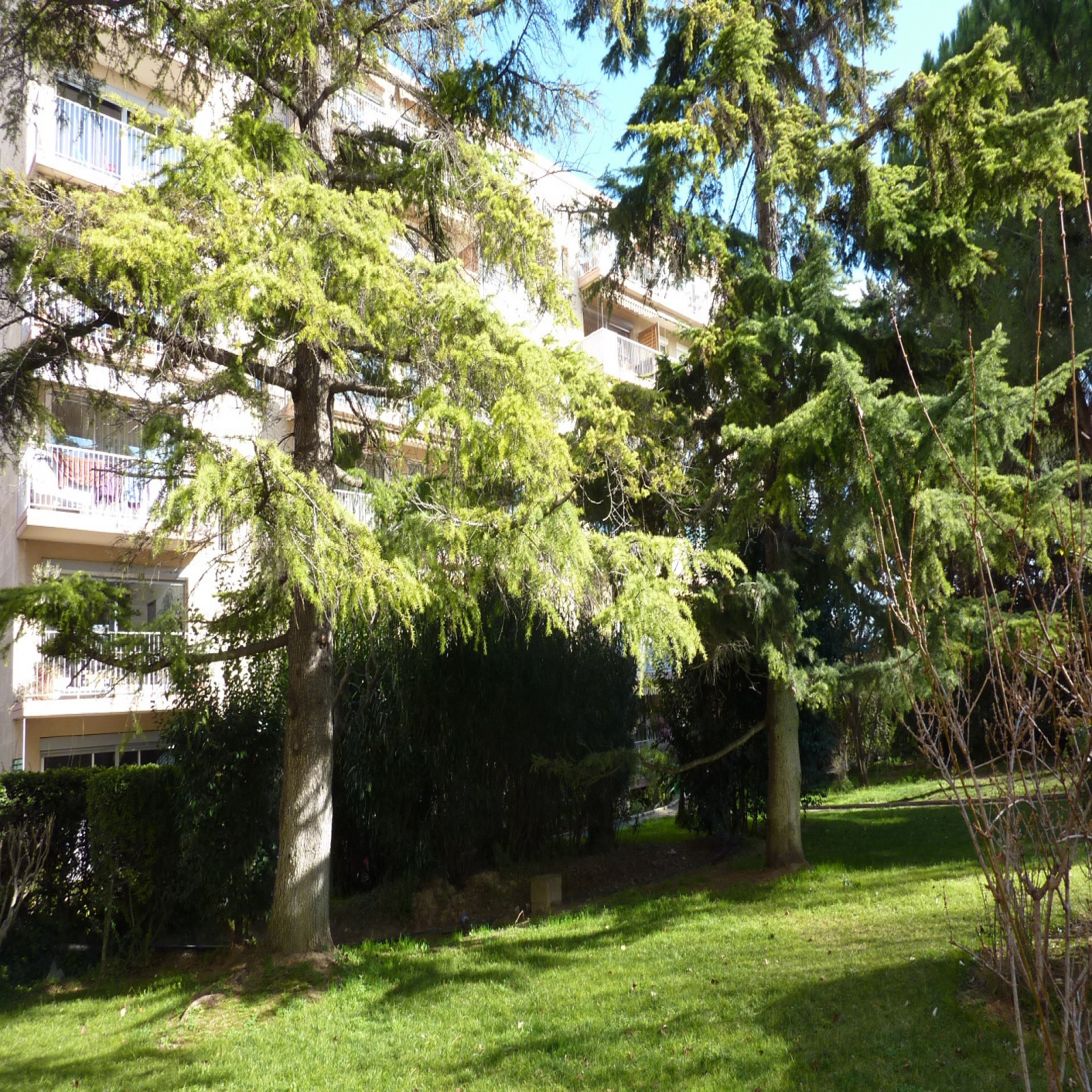 Image_, Appartement, Montpellier, ref :JLS 1235 A10