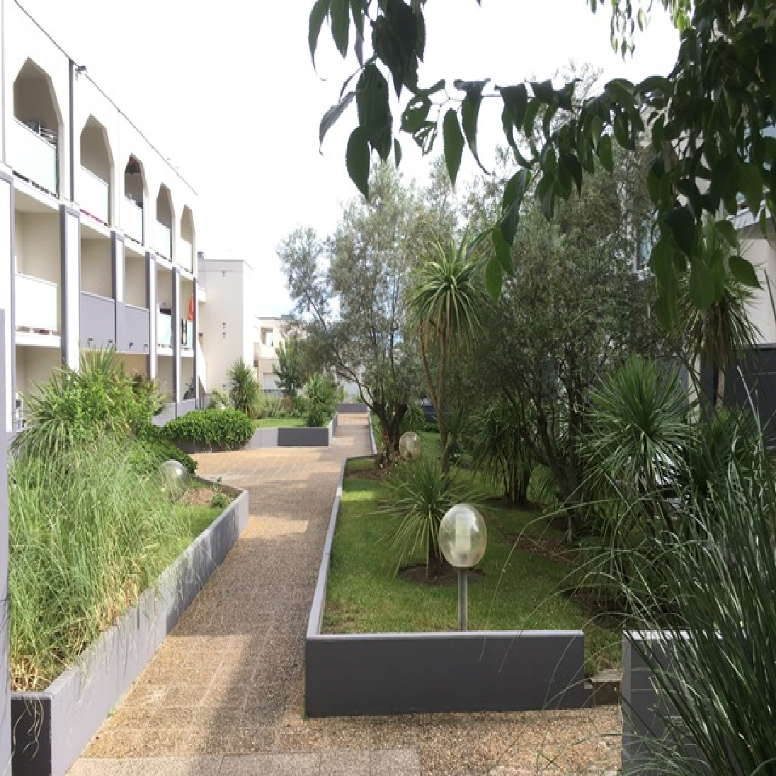 Image_, Appartement, Montpellier, ref :Y718