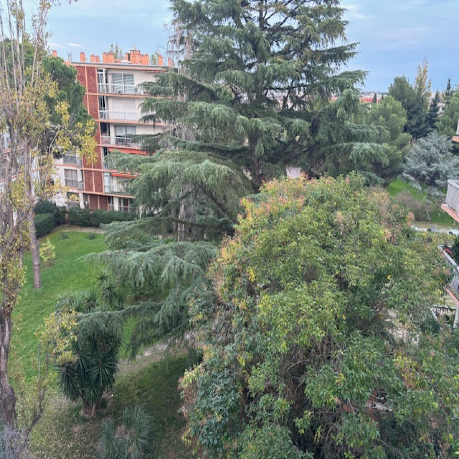 Image_, Appartement, Montpellier, ref :V705