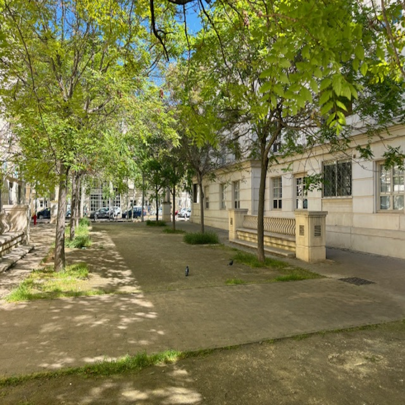 Image_, Appartement, Montpellier, ref :G507