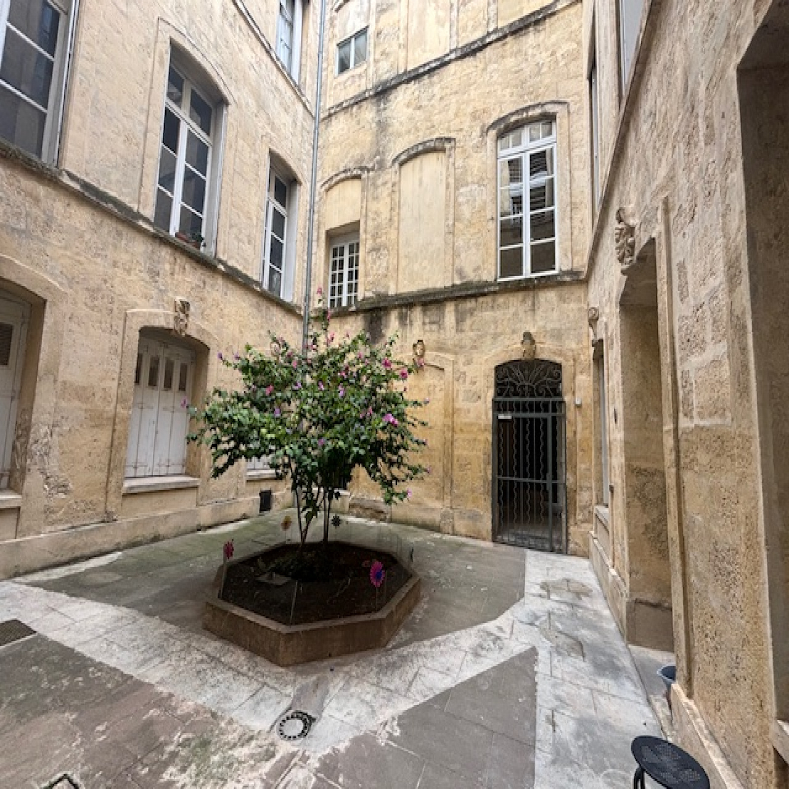 Image_, Appartement, Montpellier, ref :T701