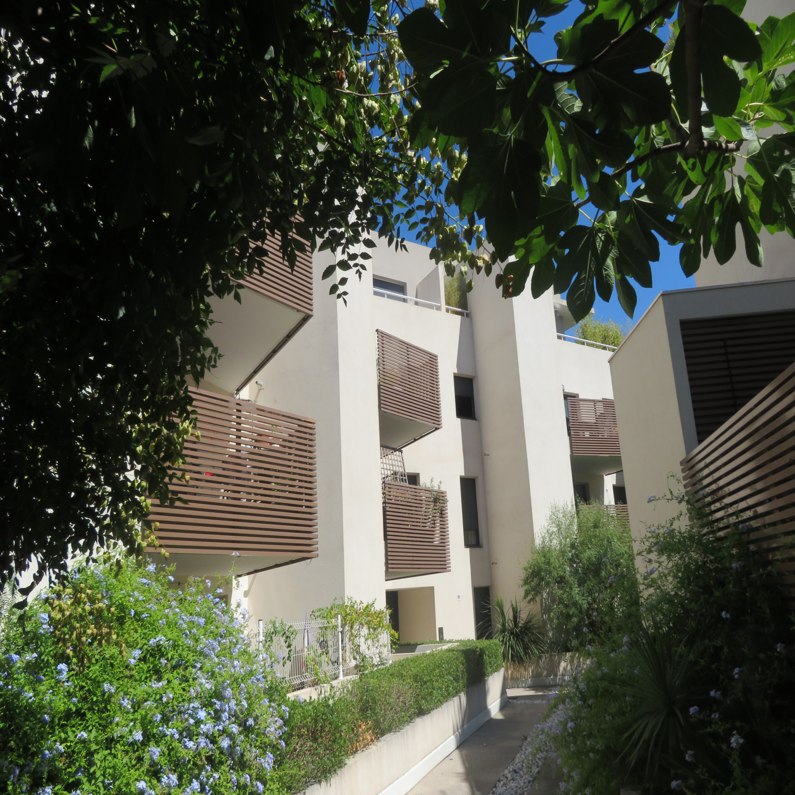 Image_, Appartement, Montpellier, ref :D515